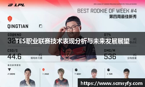 TES职业联赛技术表现分析与未来发展展望